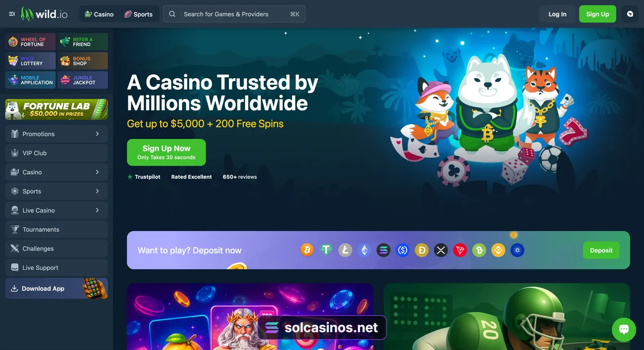 Wild.io homepage before sign-in